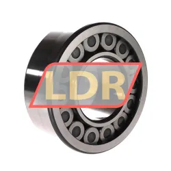 INA SL19-2316C3 rulman resim 2