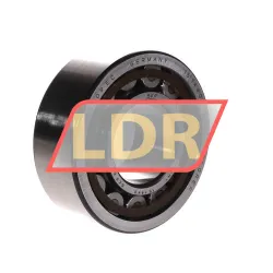 SKF RNU2309ECP