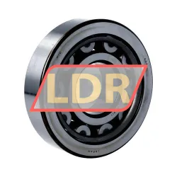 SKF SRV-NU409