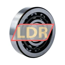 SKF SRV-NU409 rulman resim 2