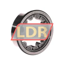 SKF RNU310ECJ
