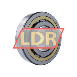 SKF NJ322ECML/C3 rulman resim 2