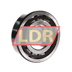 SKF NUP314ECP/C3VA301