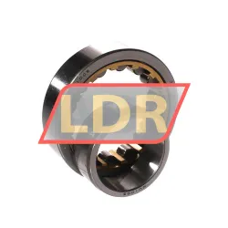 NTN NU1005G1 rulman resim 3