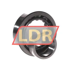 NSK NU309W C3 X28 rulman resim 3