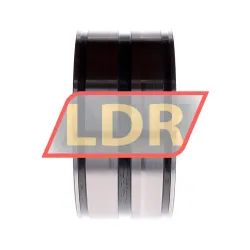 INA SL045018-D-PP-2NR