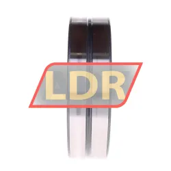 INA SL184922-A-C3 rulman resim 2