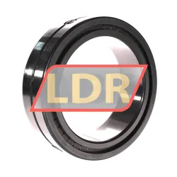 INA SL014926-A-C3 rulman resim 3