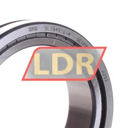 INA SL184916-A rulman resim 2