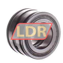 INA SL045006-PP