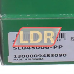INA SL045006-PP rulman resim 4
