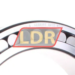 INA SL024936-A rulman resim 2