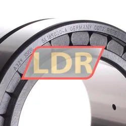 INA SL185020-A rulman resim 2