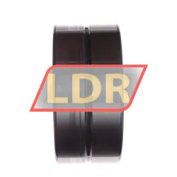INA SL185020-A rulman resim 3