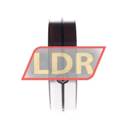INA SL014922-A rulman resim 2
