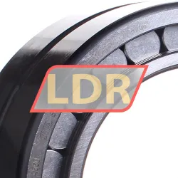 INA SL185022-A-C3 rulman resim 2