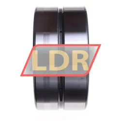 INA SL185022-A-C3 rulman resim 3