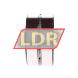 INA SL185010-A-C3 rulman resim 2