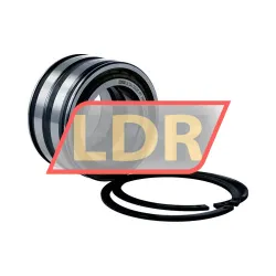 INA SL04-5008PP 2NR