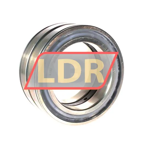 INA SL045020-D-PP-RR-C3-GA22