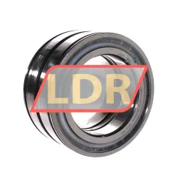 INA SL045018-D-PP-2NR-C3-GA22