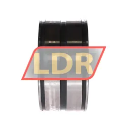 INA SL045018-D-PP-2NR-C3-GA22 rulman resim 2