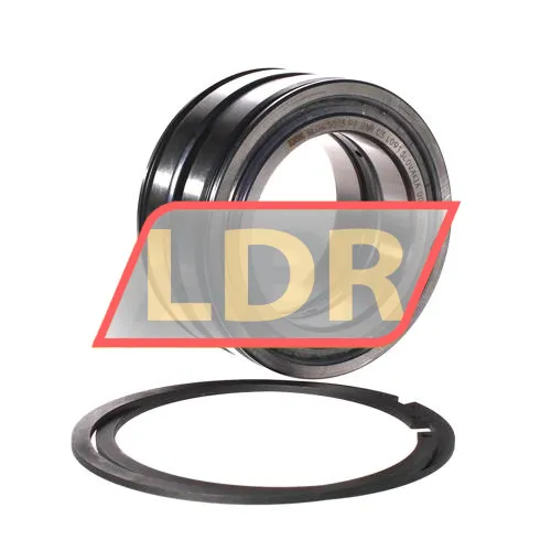 INA SL045013-PP-2NR-C3-L091