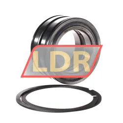 INA SL045013-PP-2NR-C3-L091