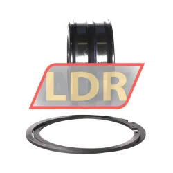 INA SL045013-PP-2NR-C3-L091 rulman resim 2