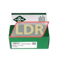 INA SL045013-PP-2NR-C3-L091 rulman resim 4
