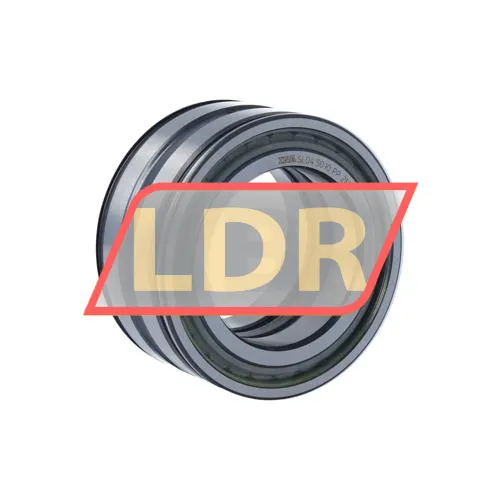 INA SL045010-PP-2NR-C3-L091