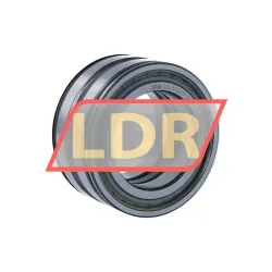 INA SL045010-PP-2NR-C3-L091