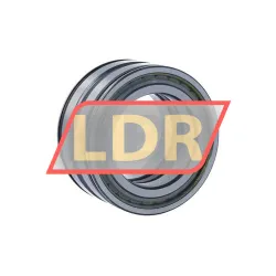 INA SL045010-PP-2NR-C3-L091 rulman resim 2