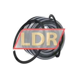 INA SL045010-PP-2NR-C3-L091 rulman resim 3