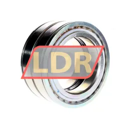 INA SL045022-D-PP-RR