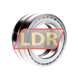 INA SL045022-D-PP-RR rulman resim 2