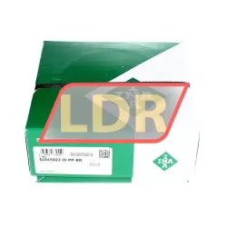 INA SL045022-D-PP-RR rulman resim 4