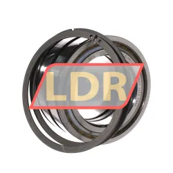 INA SL045016-D-PP-2NR