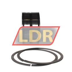 INA SL045016-D-PP-2NR rulman resim 3