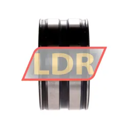 INA SL045009-PP-C4 rulman resim 2
