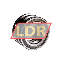 INA SL045009-PP-C4 rulman resim 3