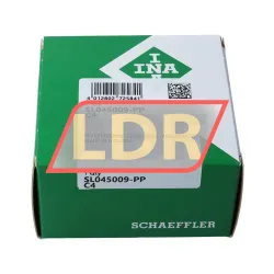 INA SL045009-PP-C4 rulman resim 4