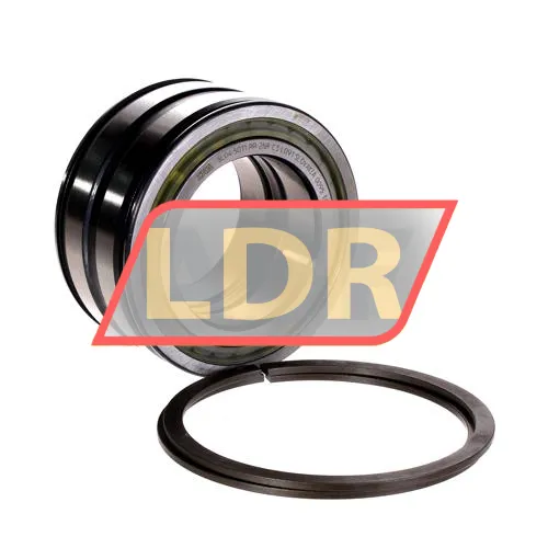 INA SL045011-PP-2NR-C3-L091