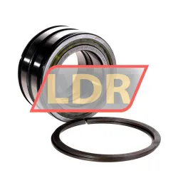 INA SL045011-PP-2NR-C3-L091