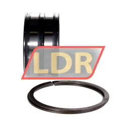 INA SL045011-PP-2NR-C3-L091 rulman resim 2