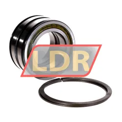 INA SL045011-PP-2NR-C3-L091 rulman resim 3