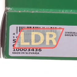INA SL185007-A-C3 rulman resim 4