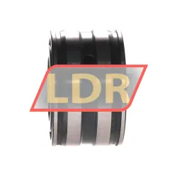 INA SL045006 rulman resim 2