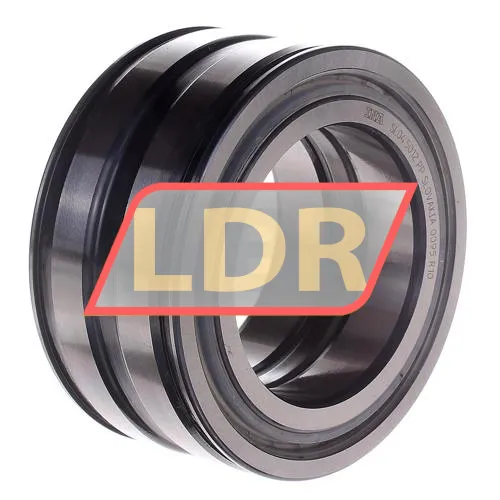 INA SL045012-PP