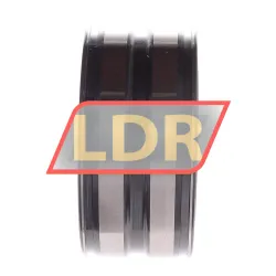INA SL045012-PP rulman resim 2